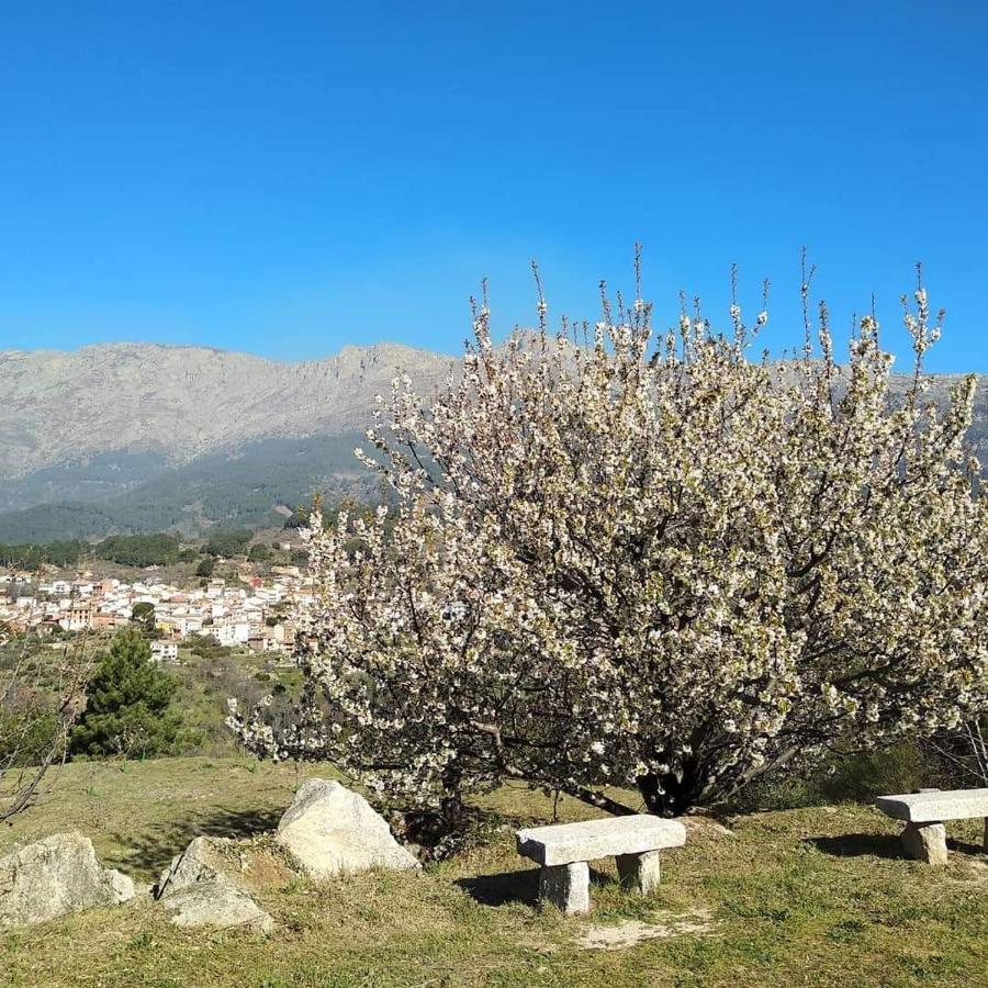 Hotel Rural Los Molinillos El Arenal  Eksteriør bilde